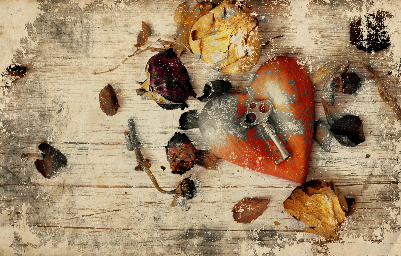 Photo wallpaper roses, petals, hearts, key