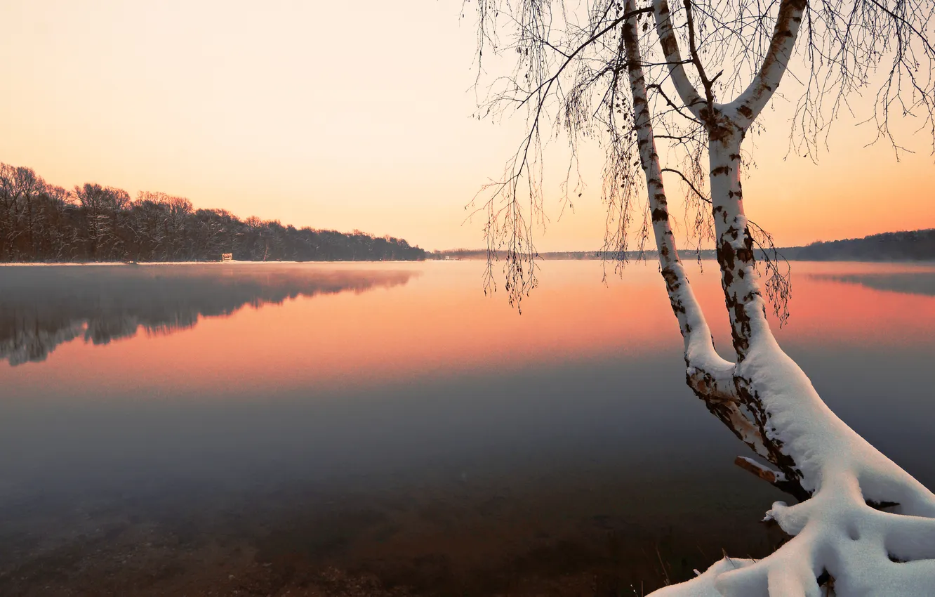 Photo wallpaper winter, snow, lake, tree, birch