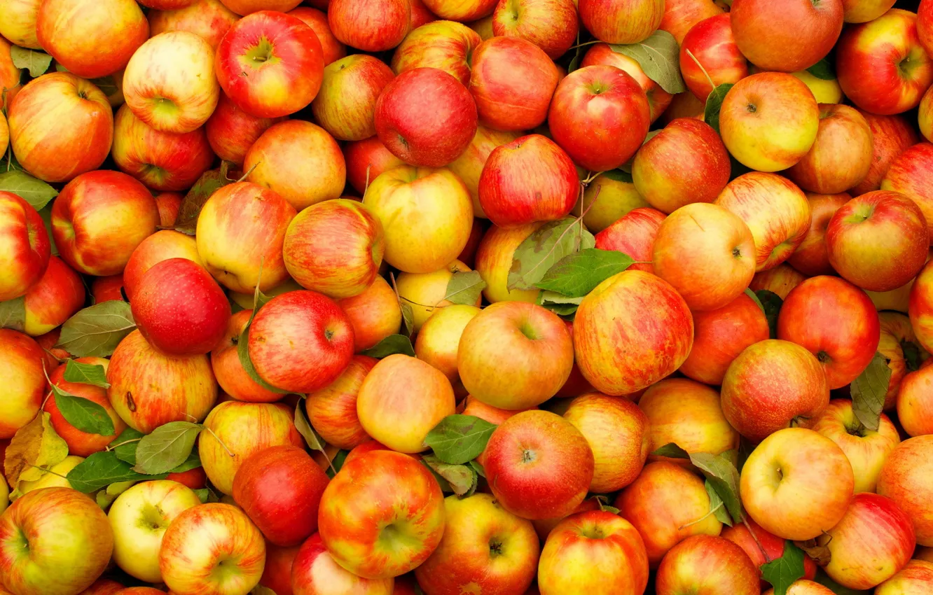 Photo wallpaper fruit, apples, standard