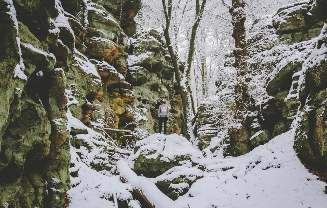 Photo wallpaper winter, snow, trees, branches, rock, stone, male
