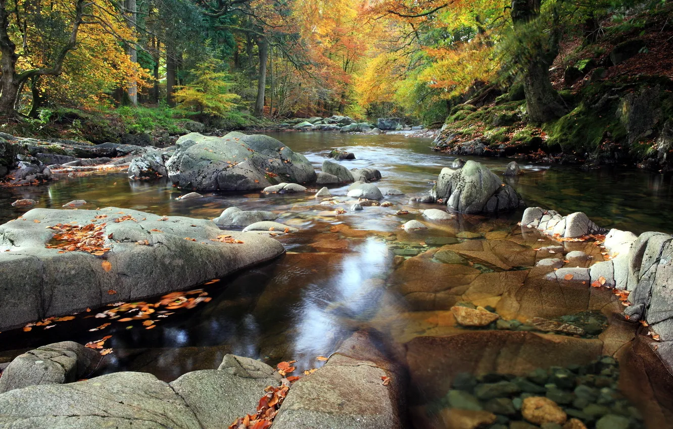 Photo wallpaper autumn, nature, river