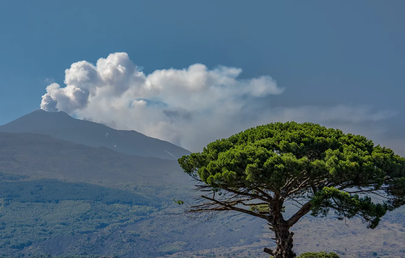 Photo wallpaper tree, the volcano, Italy, Etna, Sicily
