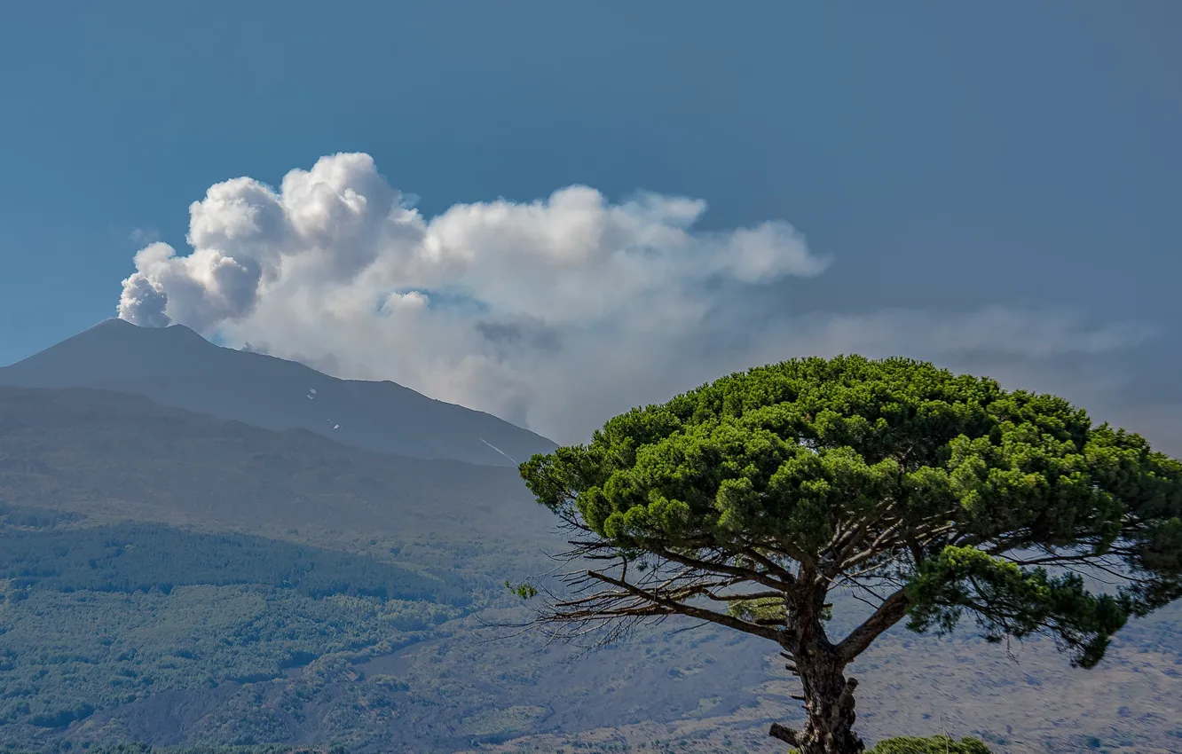 Photo wallpaper trees, the volcano, Italy, Etna, Sicily