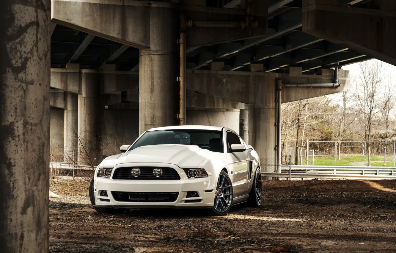 Photo wallpaper Mustang, Ford, Ford, Muscle, Mustang, white, Car, 5.0
