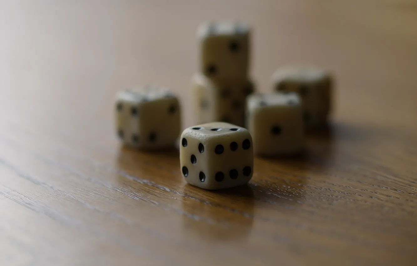 Photo wallpaper table, background, bones