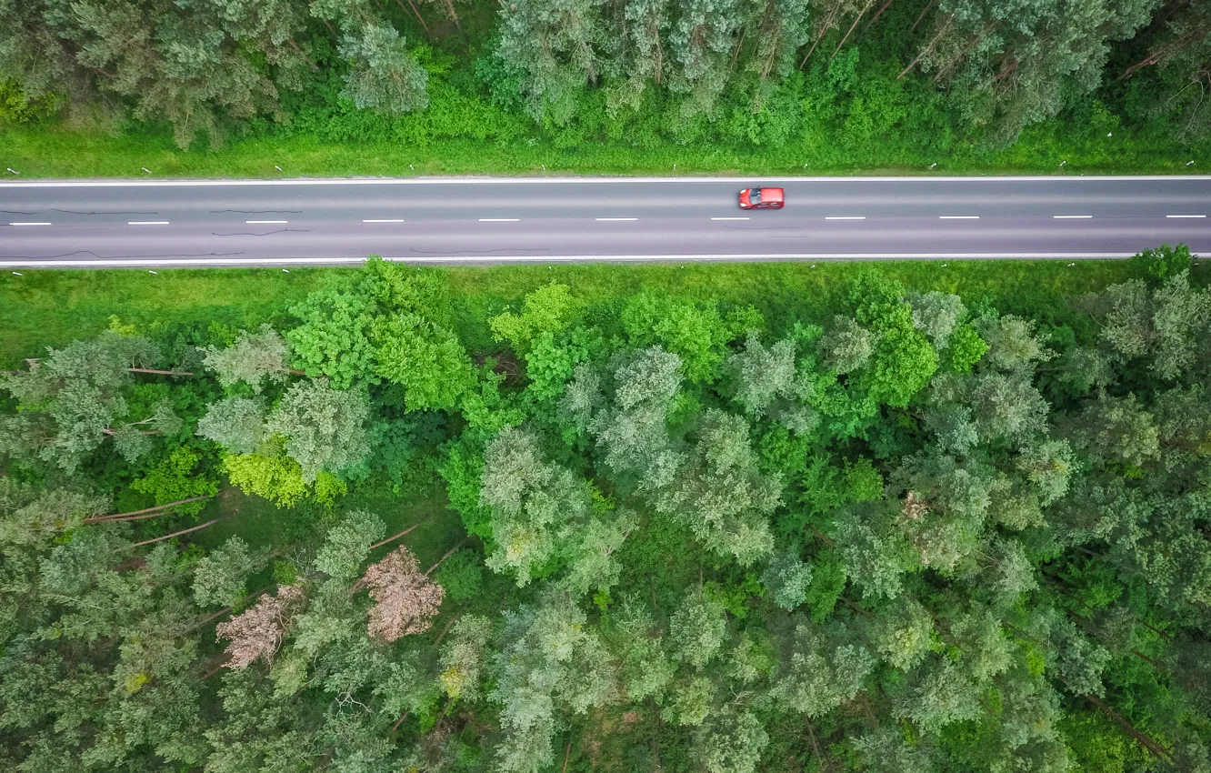 Photo wallpaper road, forest, track, red car