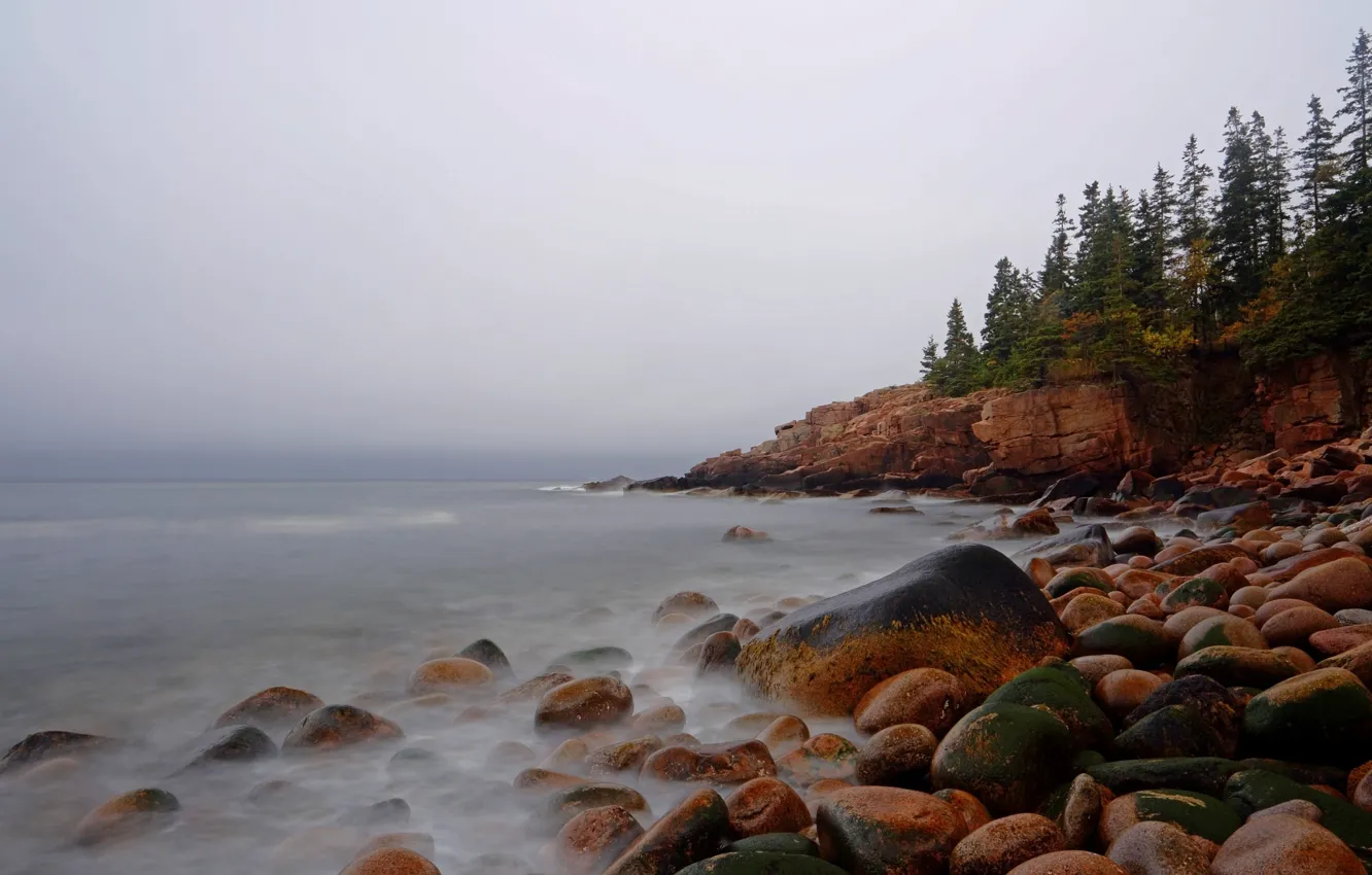 Photo wallpaper sea, the sky, trees, fog, stones, rocks, shore