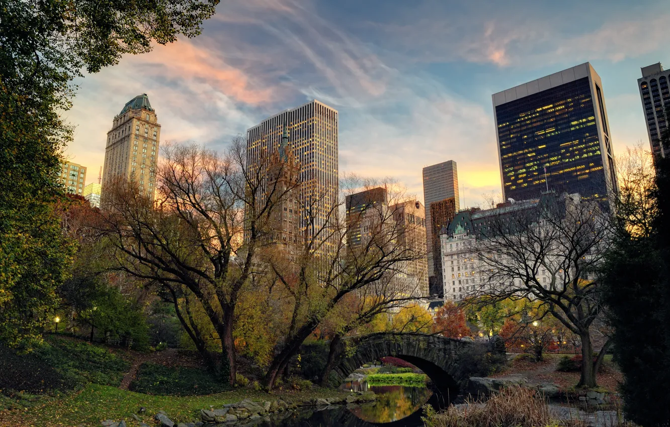 Photo wallpaper trees, bridge, nature, the city, river, building, home, New York