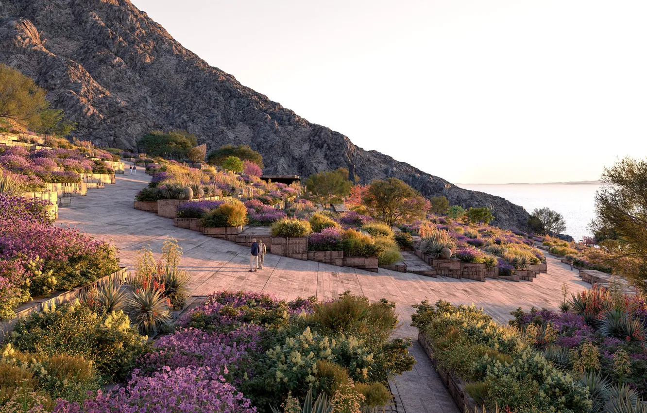 Photo wallpaper road, people, garden, Saudi Arabia, neom, architecture workshop, utamo