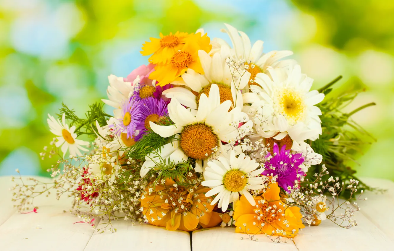 Photo wallpaper chamomile, bouquet, gerbera
