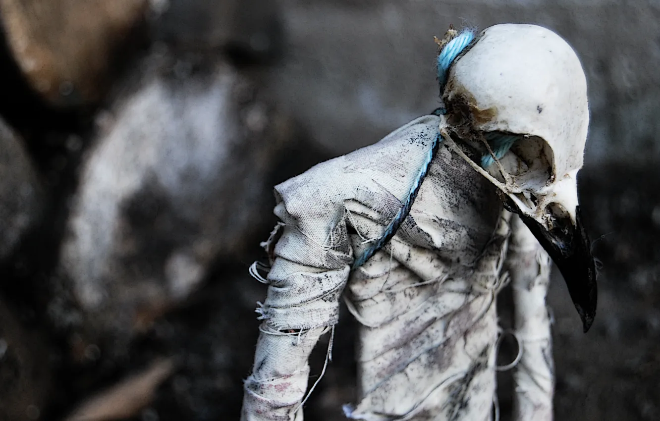 Photo wallpaper death, beak, Dead, horror, horror, dead, death, creepy