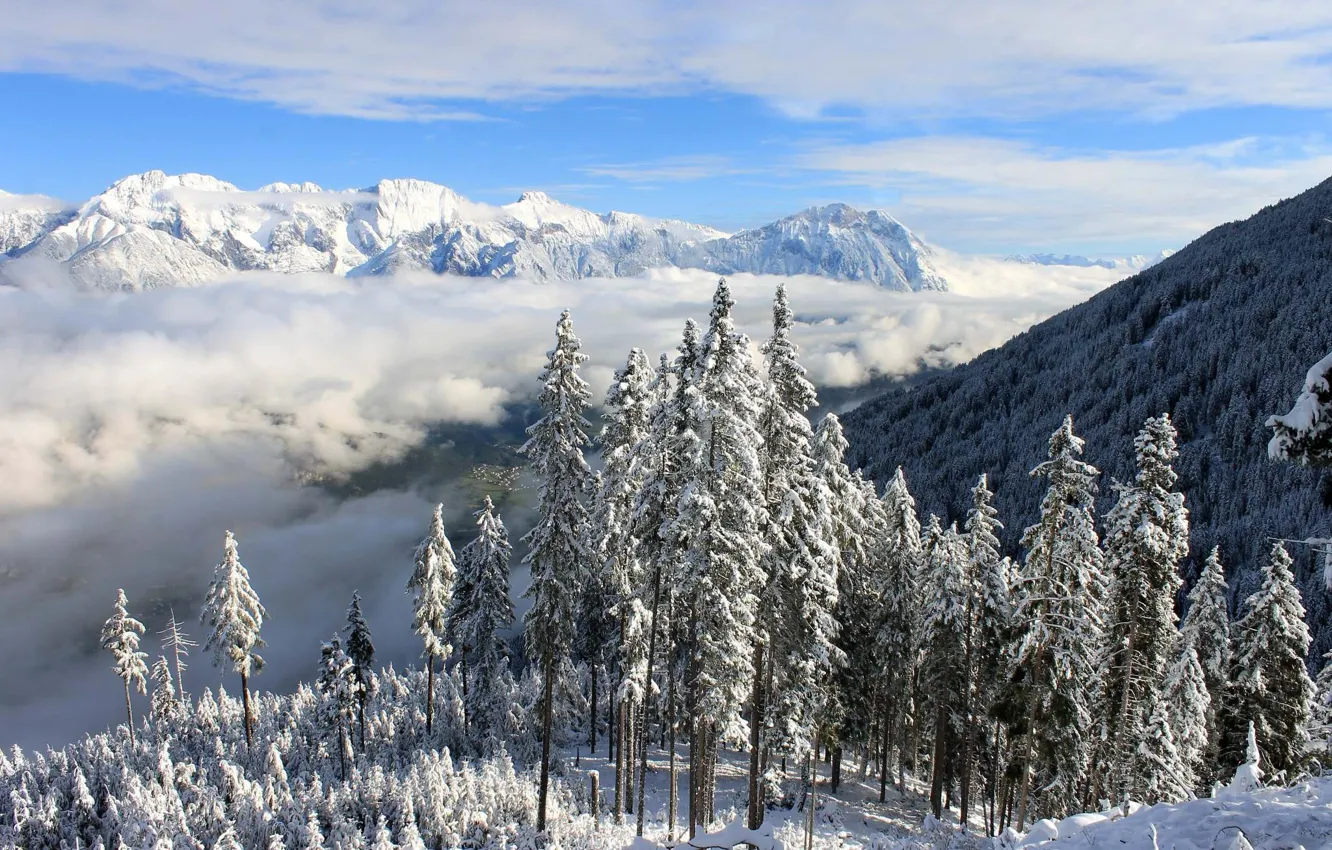 Photo wallpaper winter, frost, forest, the sky, snow, mountains, fog, blue