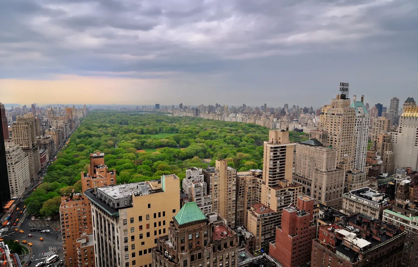 Photo wallpaper trees, clouds, the city, overcast, building, home, Manhattan, New York