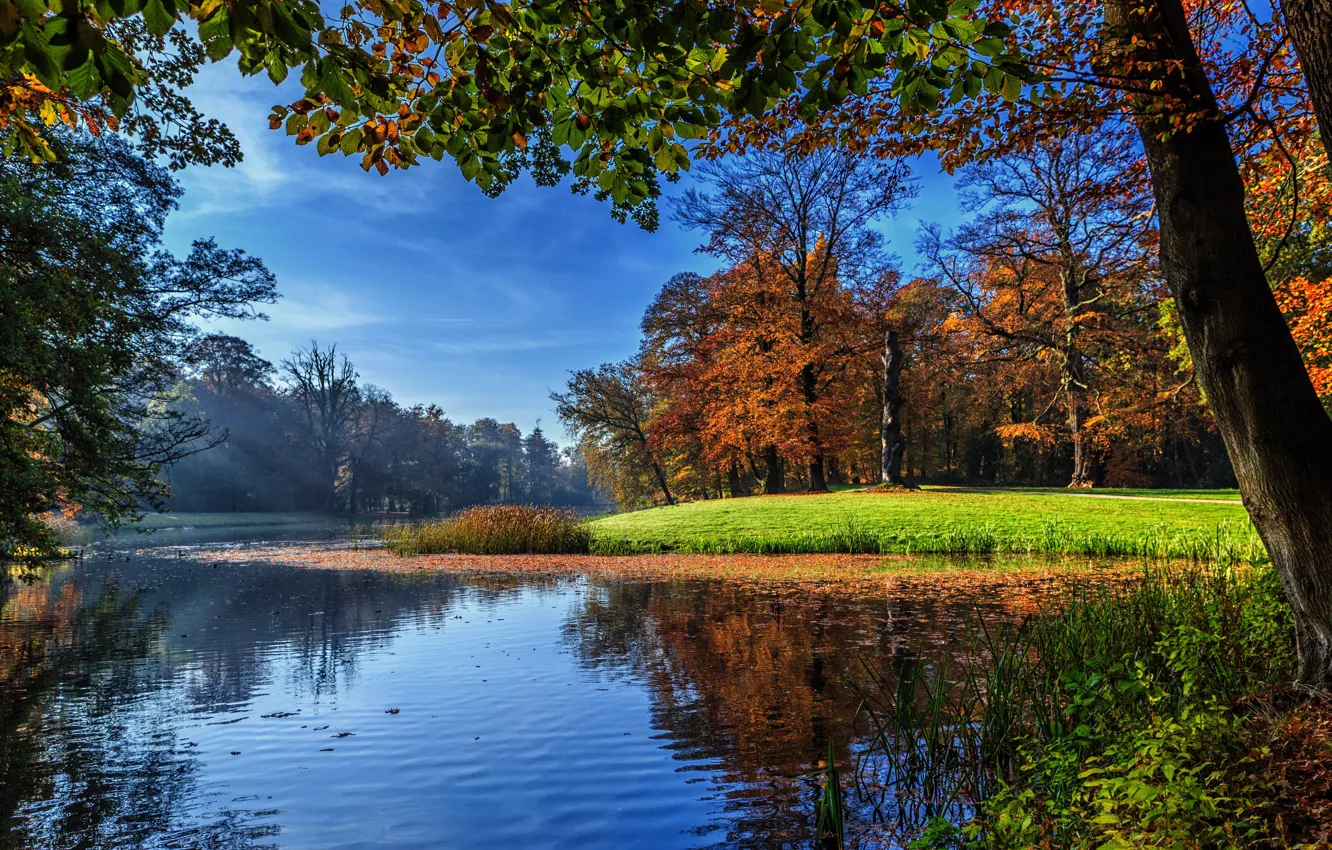 Photo wallpaper Nature, Autumn, Trees, River, Landscape, Netherlands, Utrecht, Darthuizen