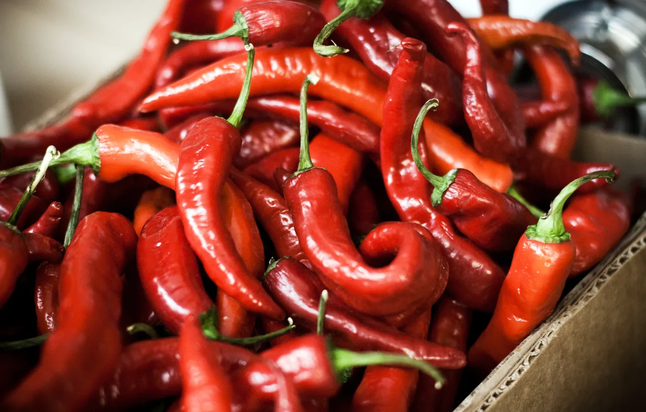 Photo wallpaper red, food, pepper, Chile
