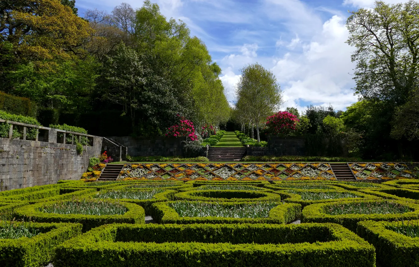 Photo wallpaper trees, flowers, design, Park, lawn, Scotland, ladder, the bushes