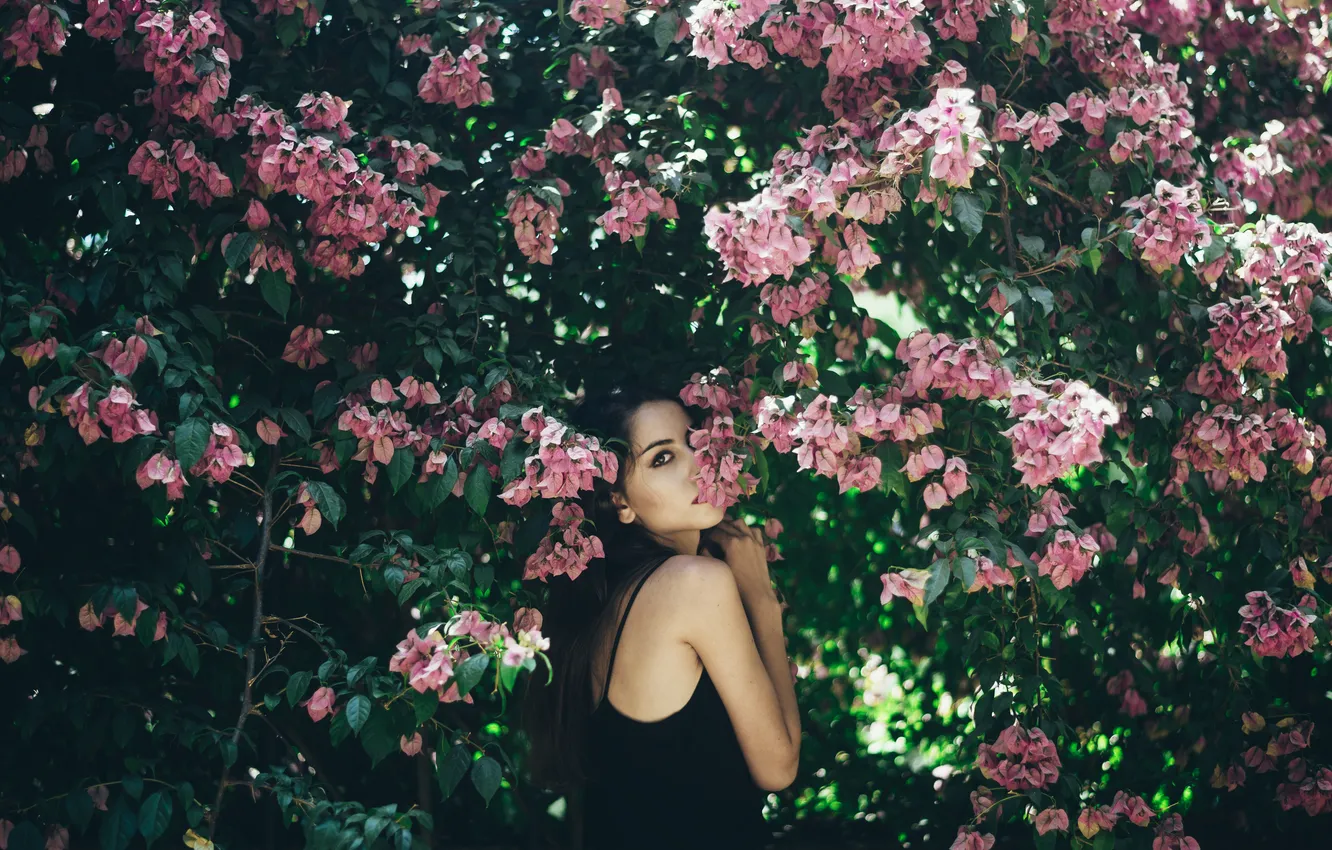 Photo wallpaper girl, flowers, brunette