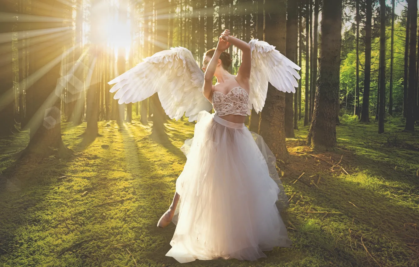 Photo wallpaper forest, girl, rays, light, trees, nature, pose, movement
