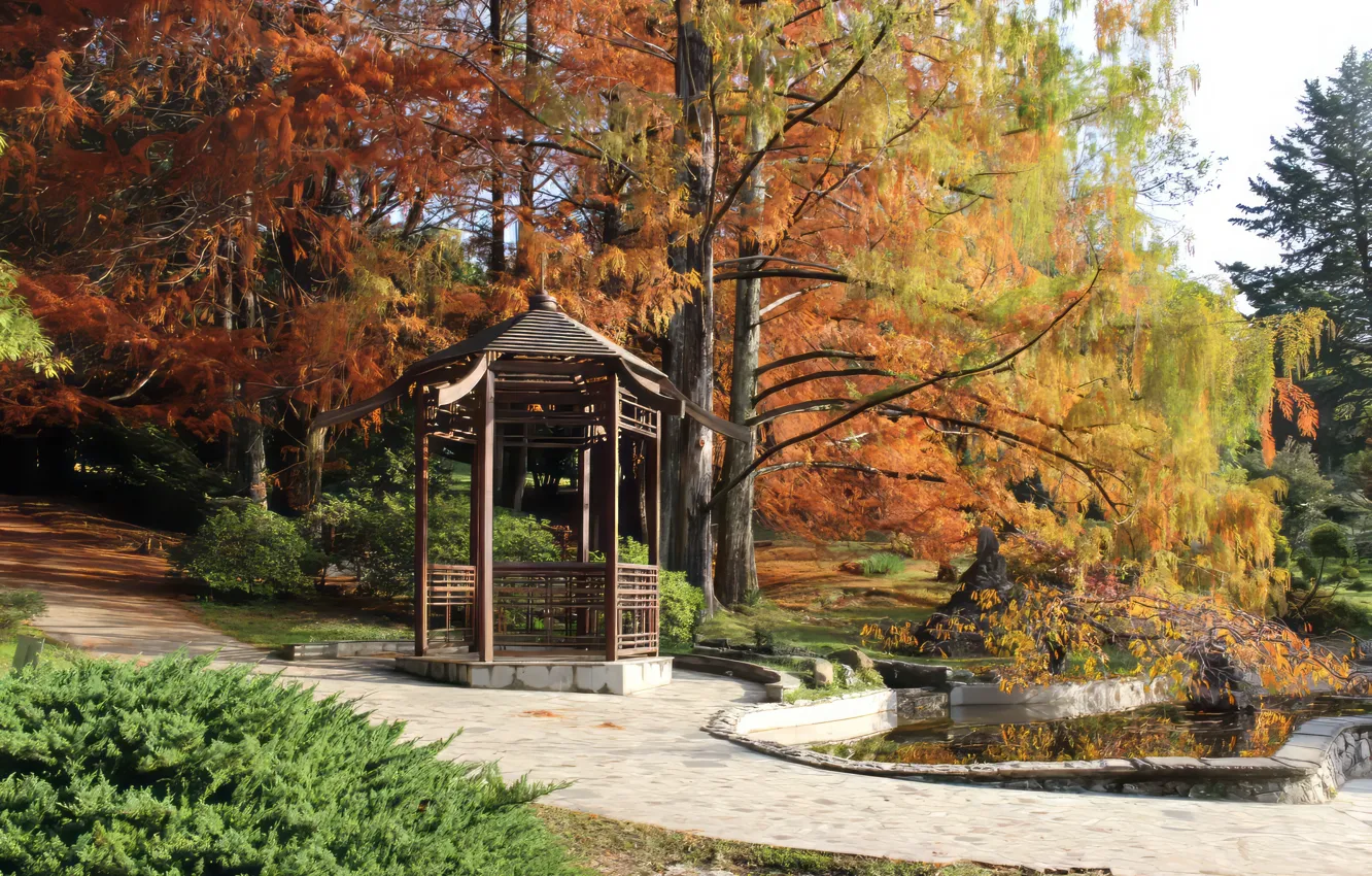 Photo wallpaper autumn, leaves, nature, nature, autumn, leaves, Sochi, Sochi