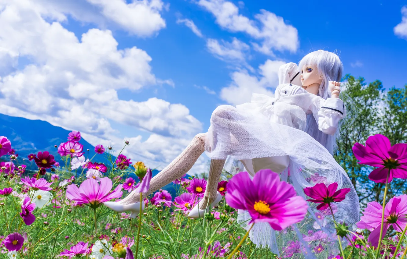 Photo wallpaper clouds, flowers, mood, toy, doll, meadow, kosmeya
