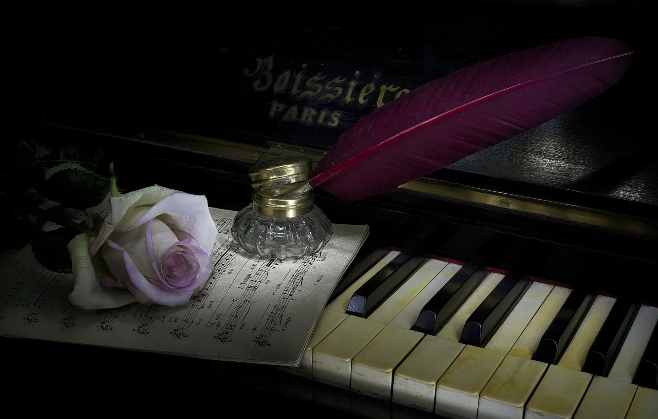 Photo wallpaper style, music, roses, feathers, piano