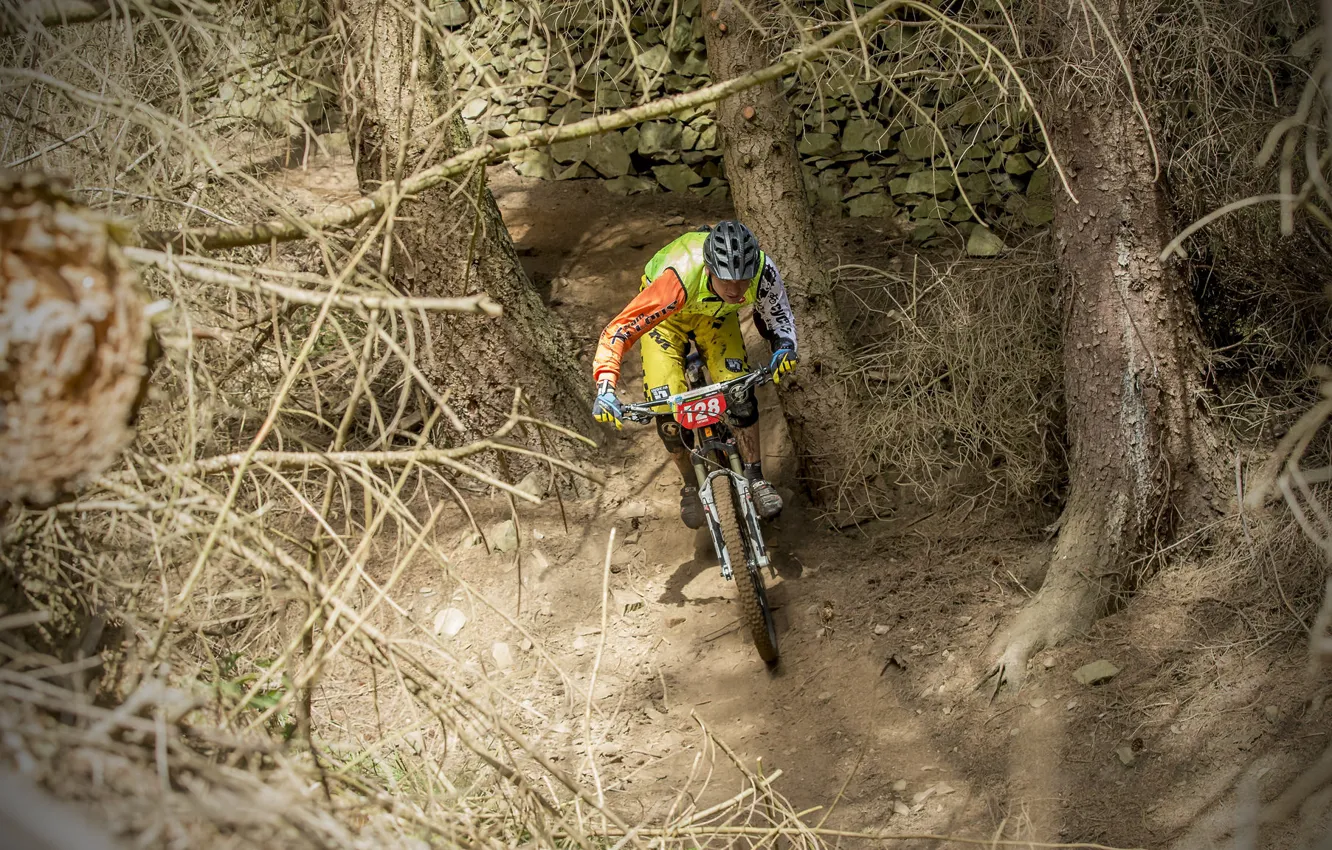 Photo wallpaper bike, background, race, sport