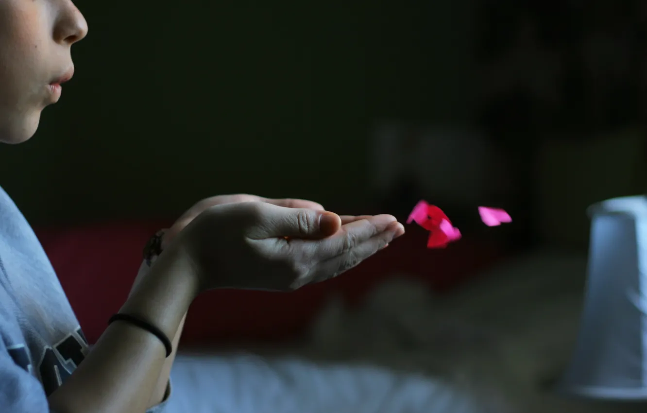 Photo wallpaper love, heart, feelings, hands, palm, recognition, love, kiss