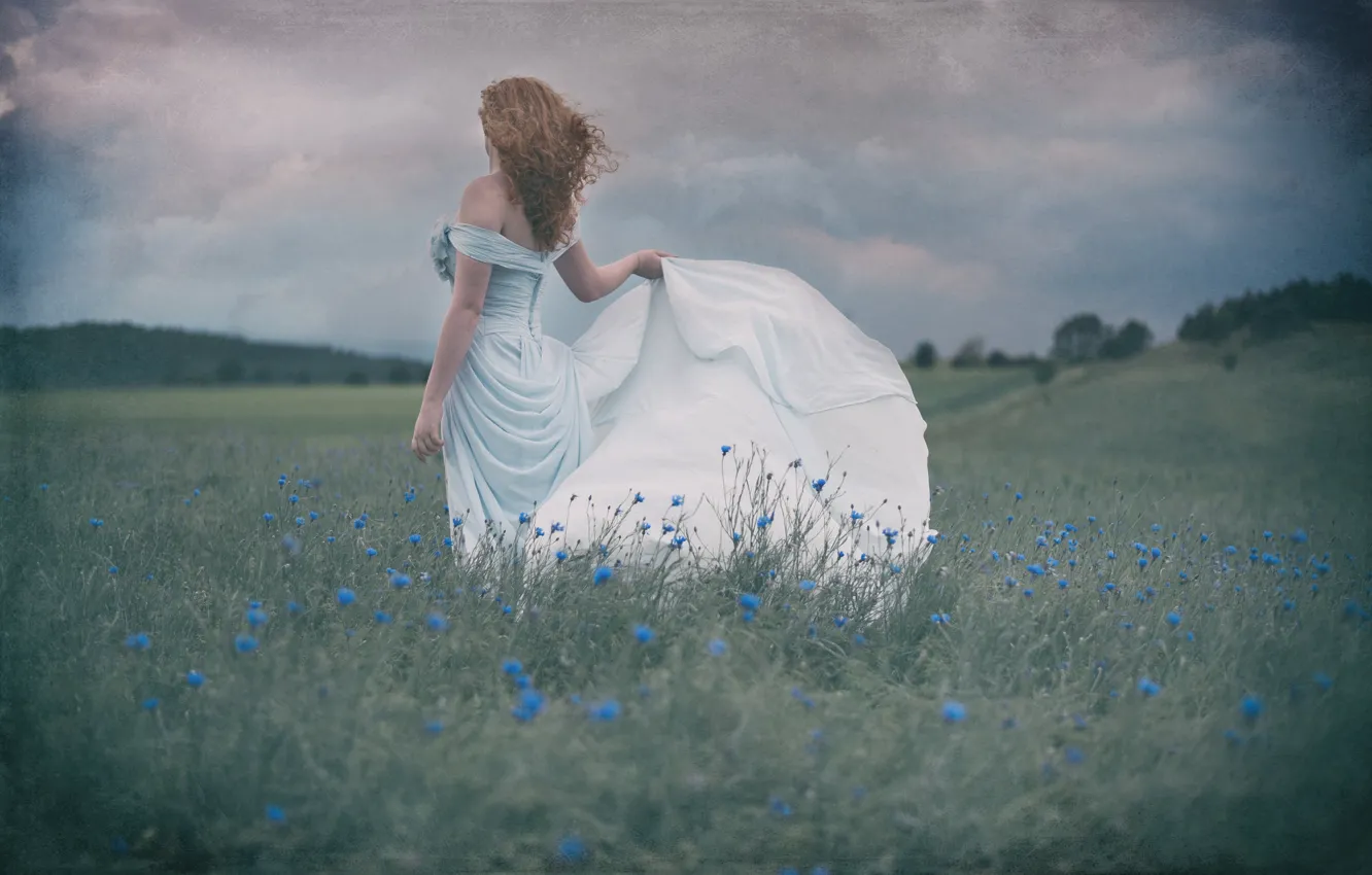 Photo wallpaper girl, mood, dress, meadow, cornflowers