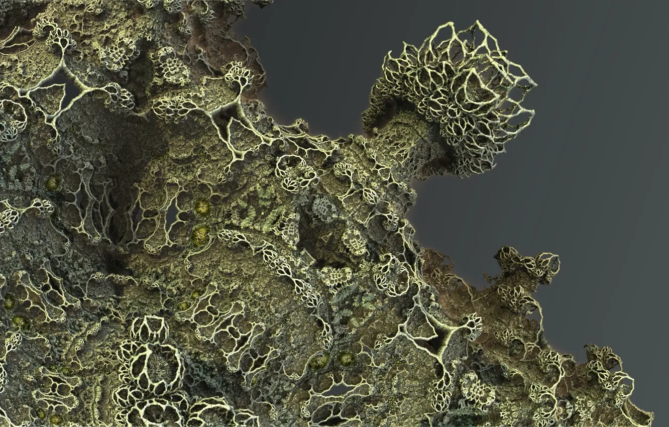 Photo wallpaper abstraction, background, color, form, Fractal