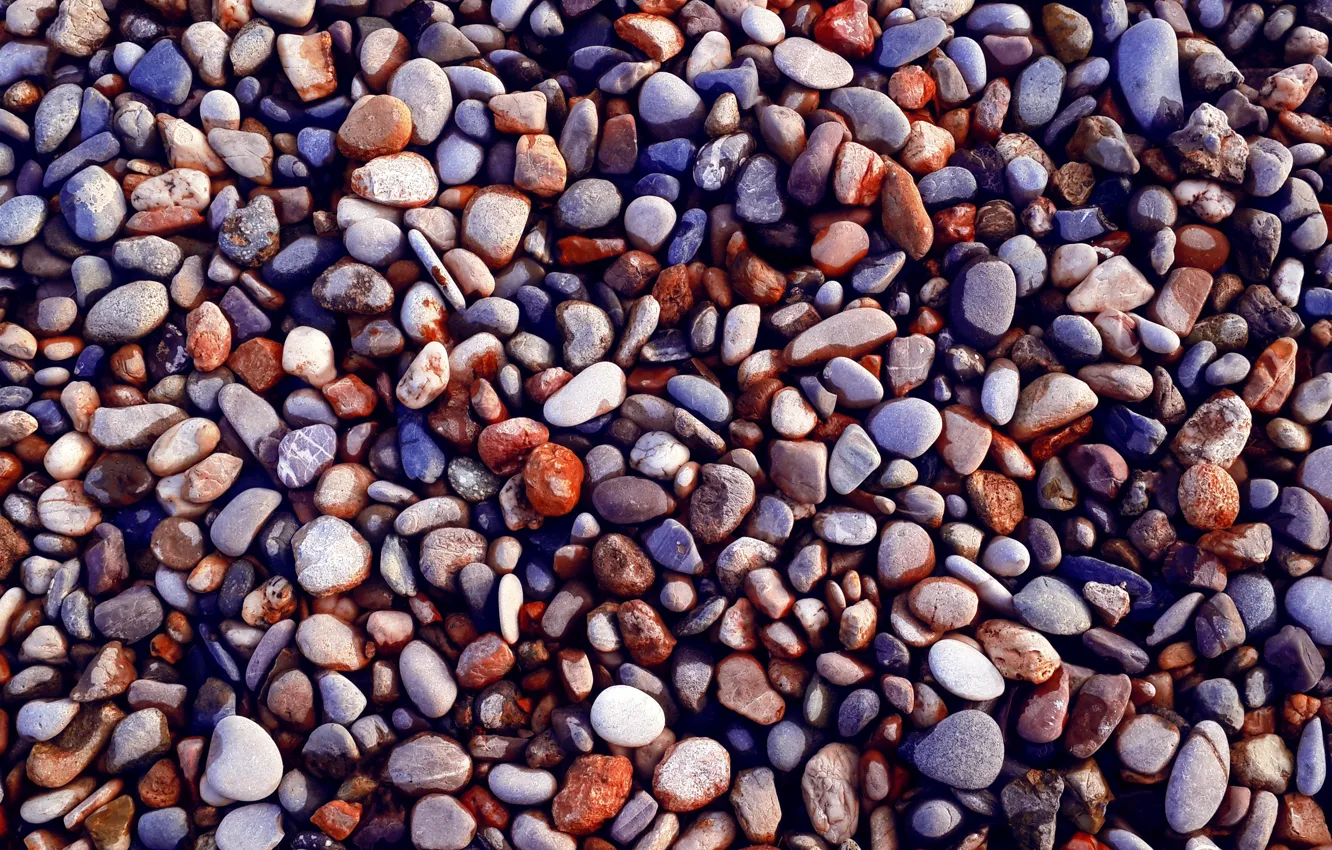 Photo wallpaper Stones, Pebbles, Close-Up
