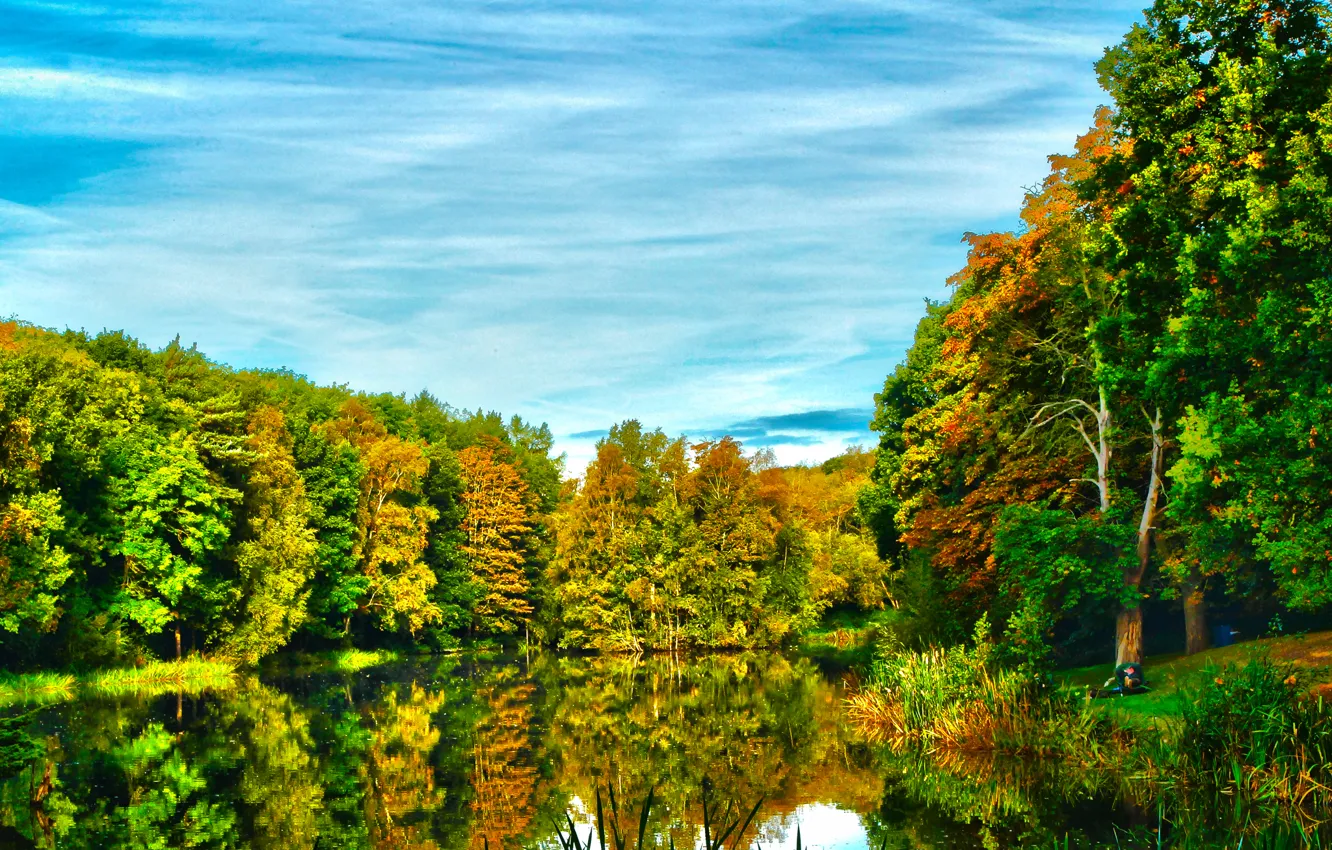 Photo wallpaper autumn, forest, the sky, trees, lake, river