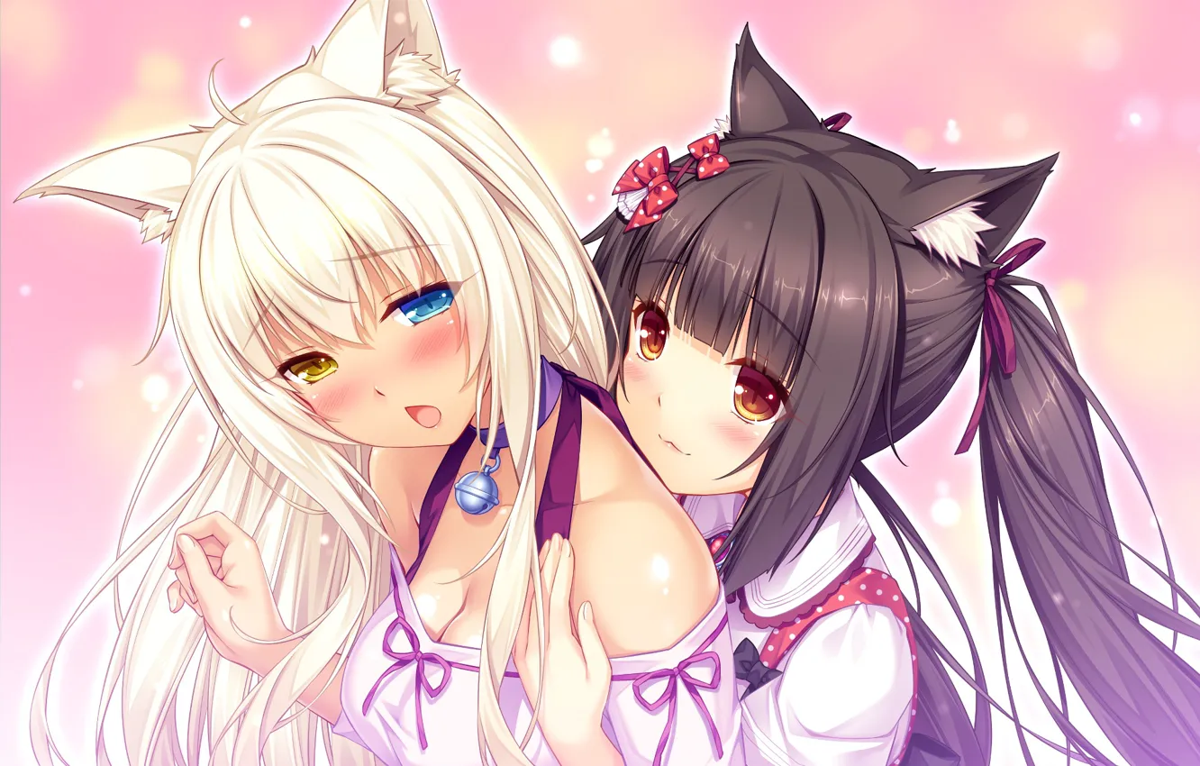 Photo wallpaper anime, girl, neko, NekoPara