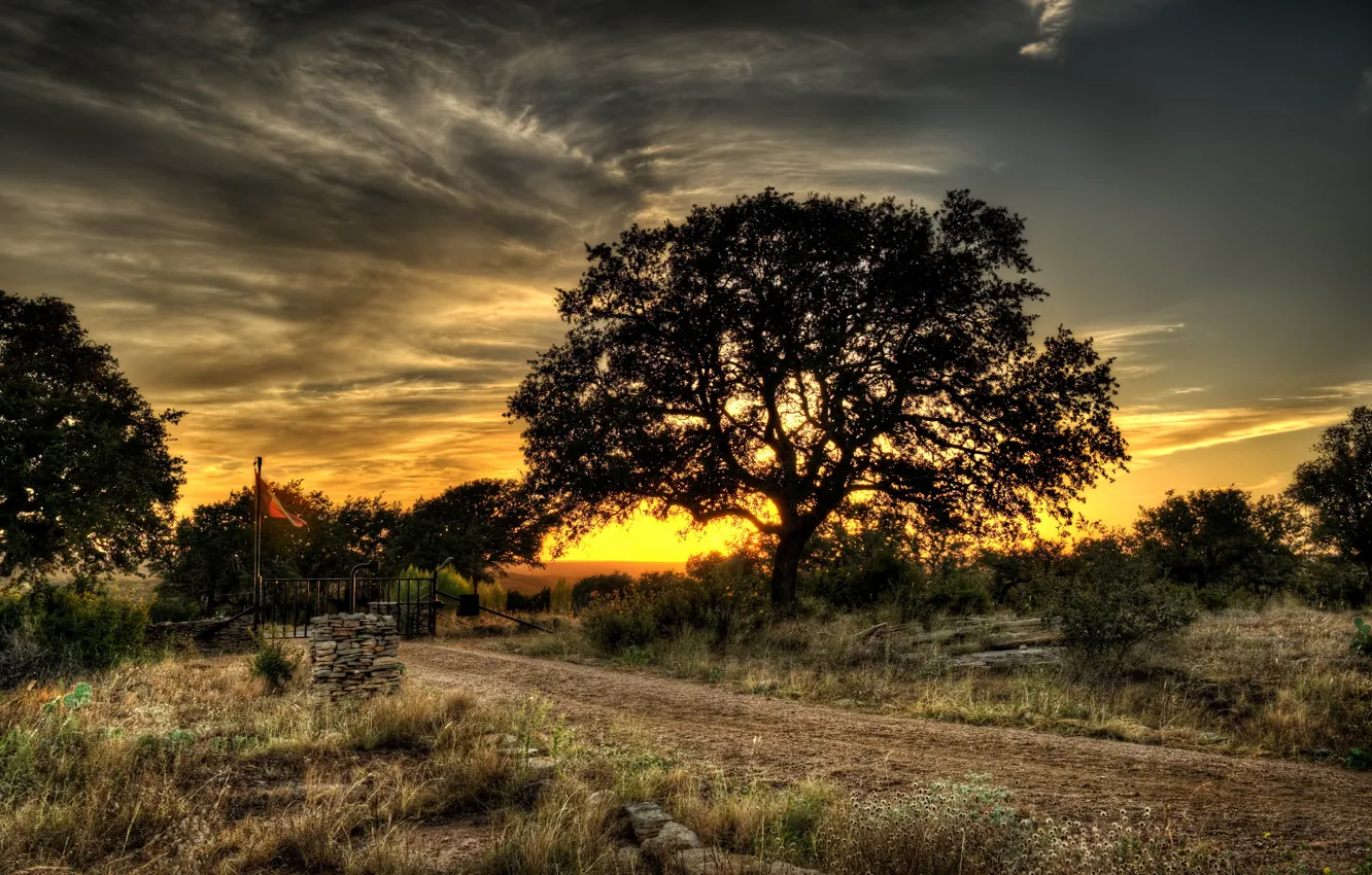 Photo wallpaper road, trees, landscape, sunset
