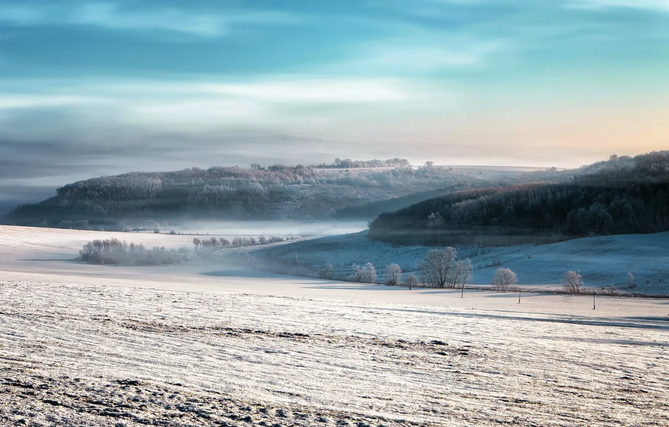 Photo wallpaper winter, field, fog, morning