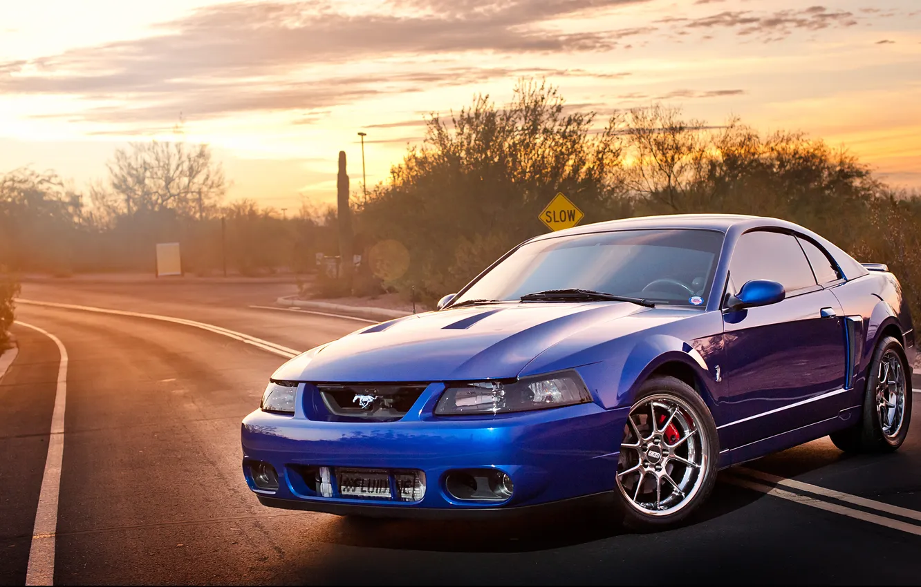 Photo wallpaper Mustang, Ford, Cobra, Terminator, SVT