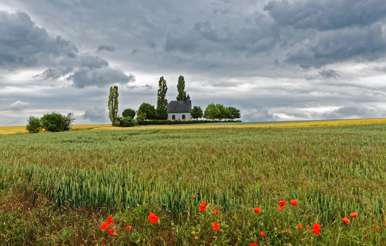 Photo wallpaper field, grass, clouds, trees, house, Maki, Germany, horizon