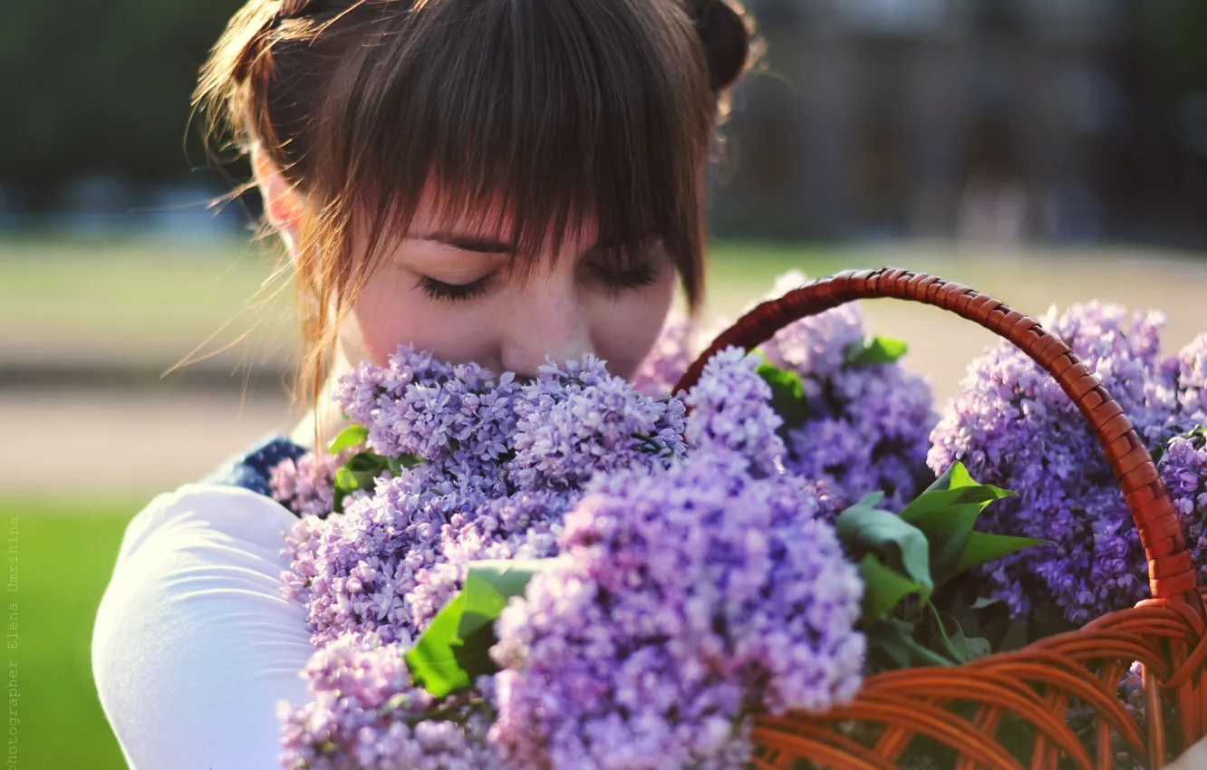 Photo wallpaper girl, flowers, photographer, girl, basket, photography, photographer, Elena Umrihina