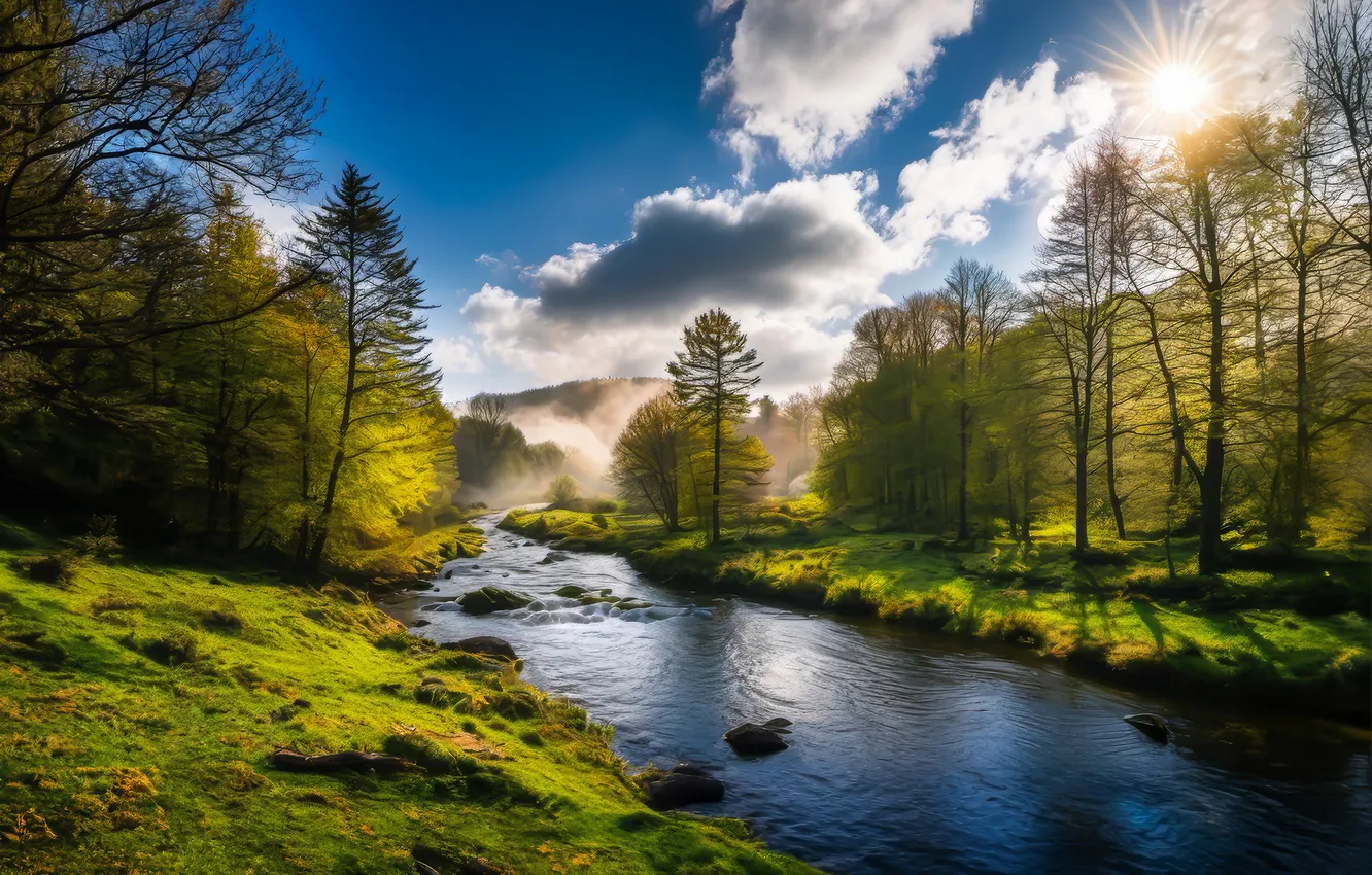 Photo wallpaper the sky, clouds, trees, river, stones, morning, Germany