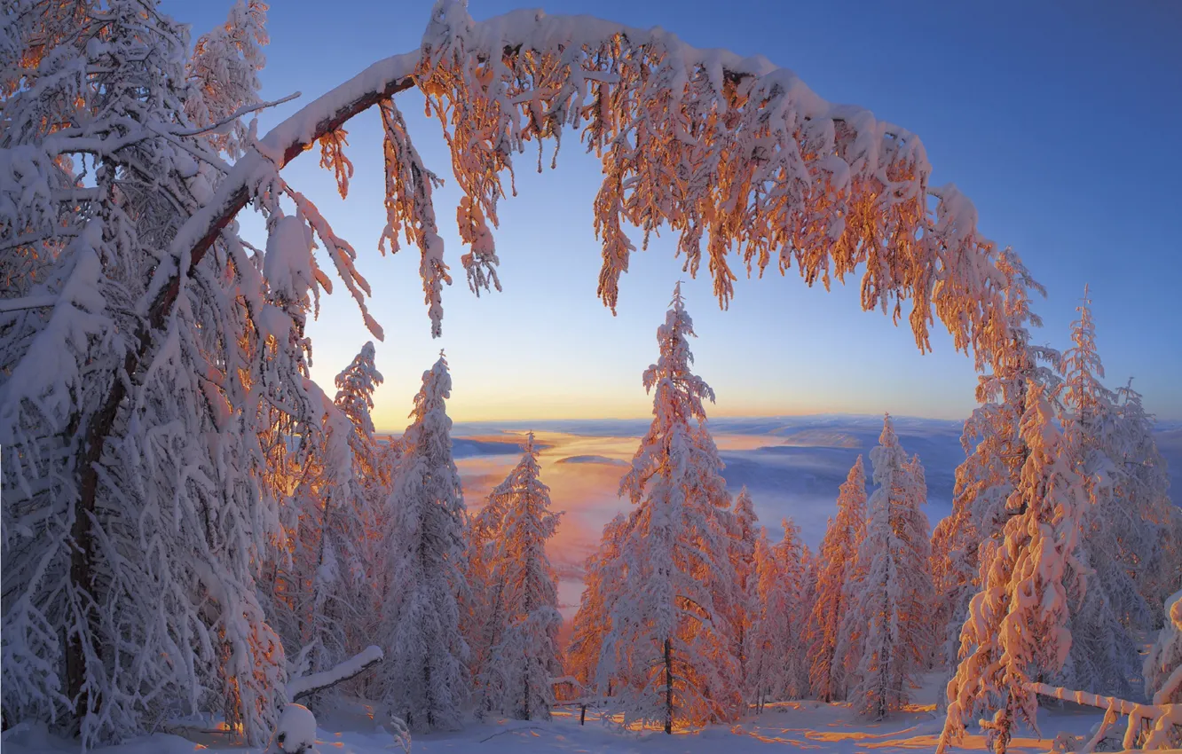 Photo wallpaper winter, frost, trees, The Republic Of Sakha