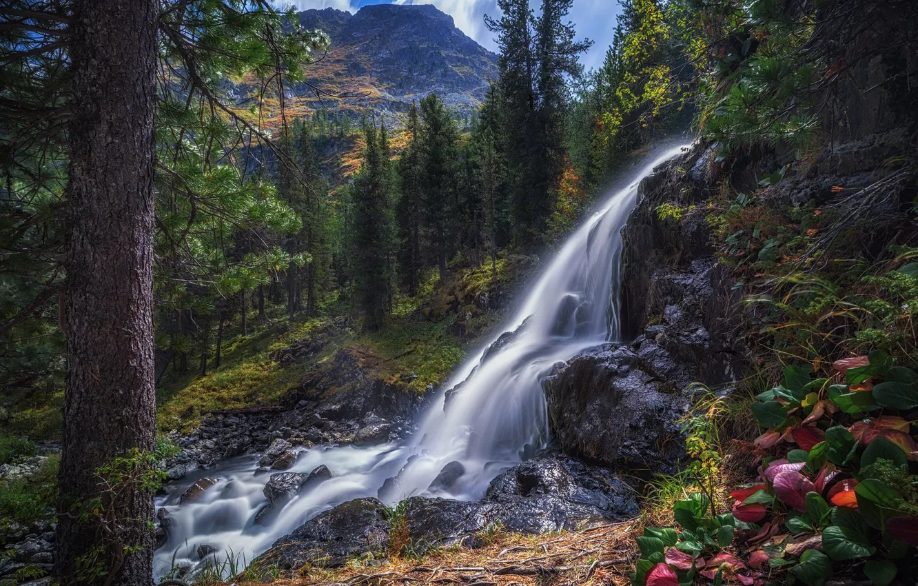 Photo wallpaper forest, mountains, stones, shore, waterfall, stream