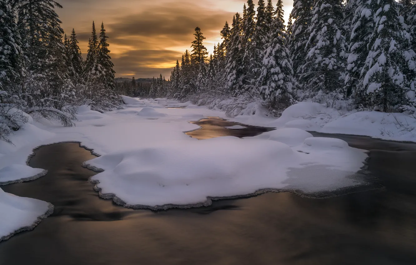 Photo wallpaper winter, frost, forest, water, clouds, snow, landscape, sunset