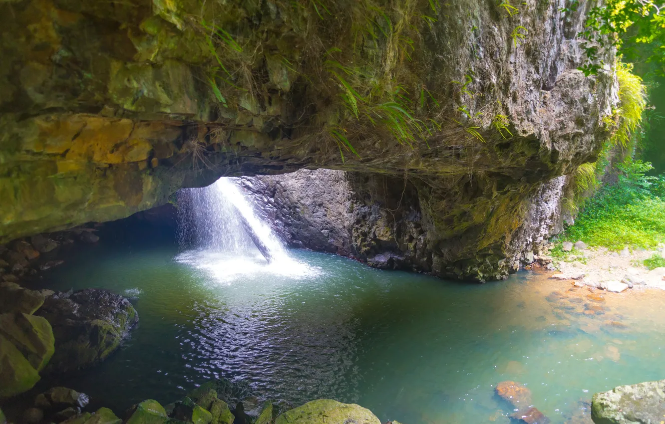Photo wallpaper stones, rocks, waterfall, moss, Australia, Springbrook National Park