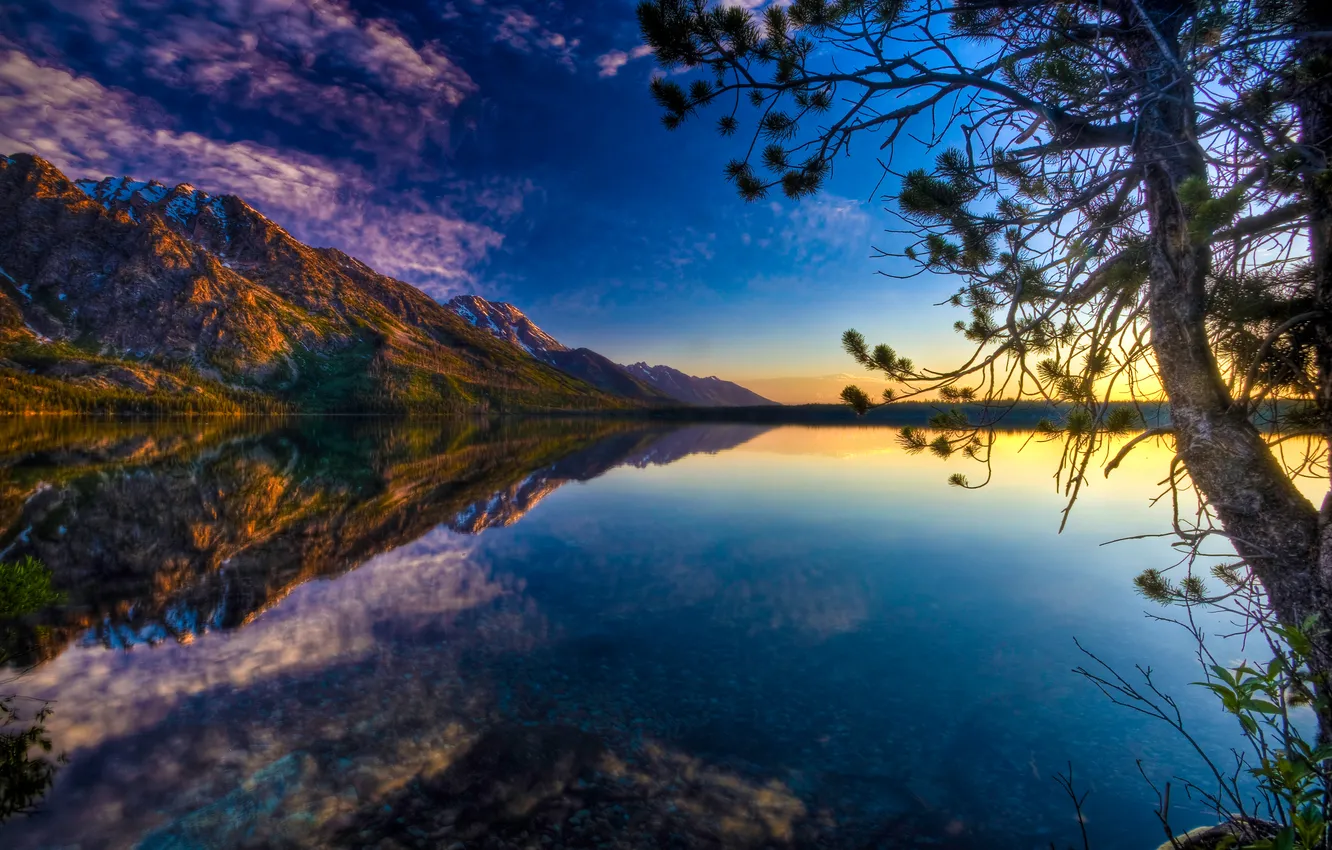 Photo wallpaper mountains, branches, nature, lake
