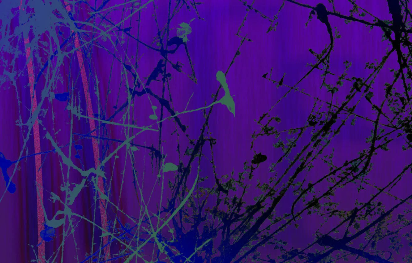 Photo wallpaper line, pattern, color, spot, chaos