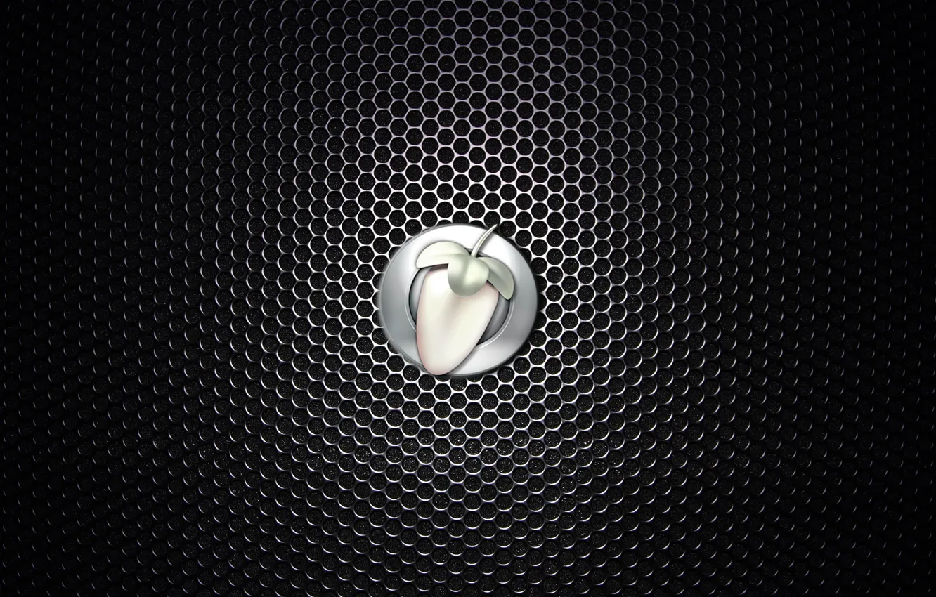 Photo wallpaper studio, FL, Loops