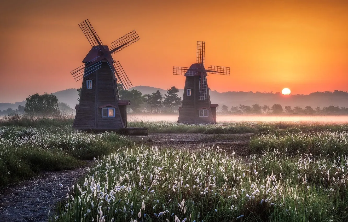 Photo wallpaper morning, meadow, mill