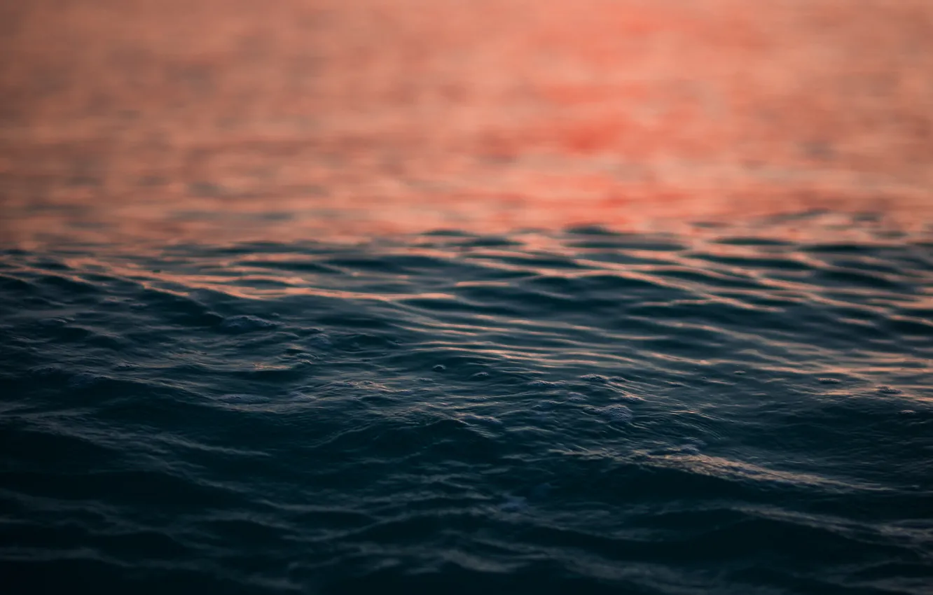 Photo wallpaper sea, water, sunset, ruffle, sea, sunset, water, ripple