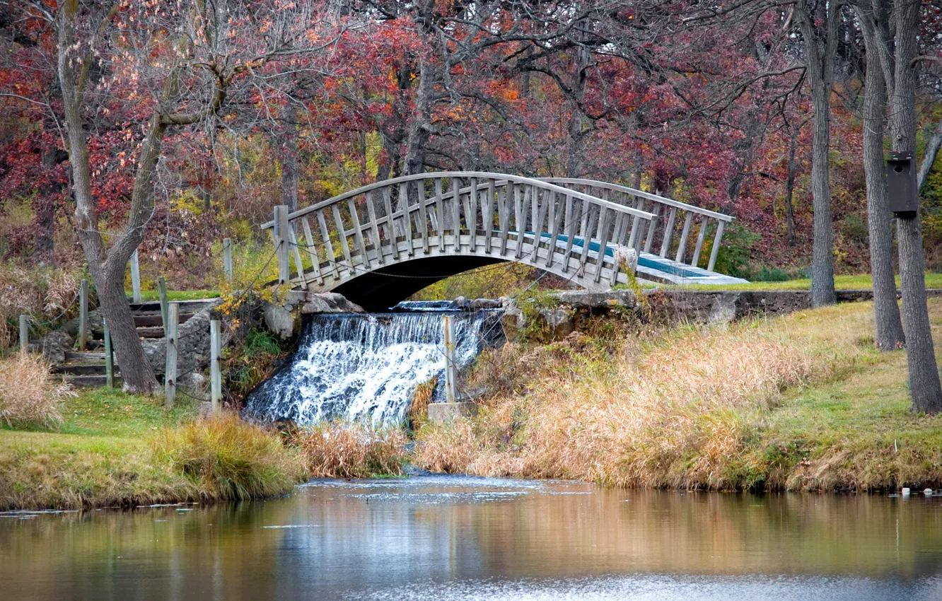 Photo wallpaper Waterfall, Autumn, Nature, Bridge, Autumn, Waterfall, The bridge