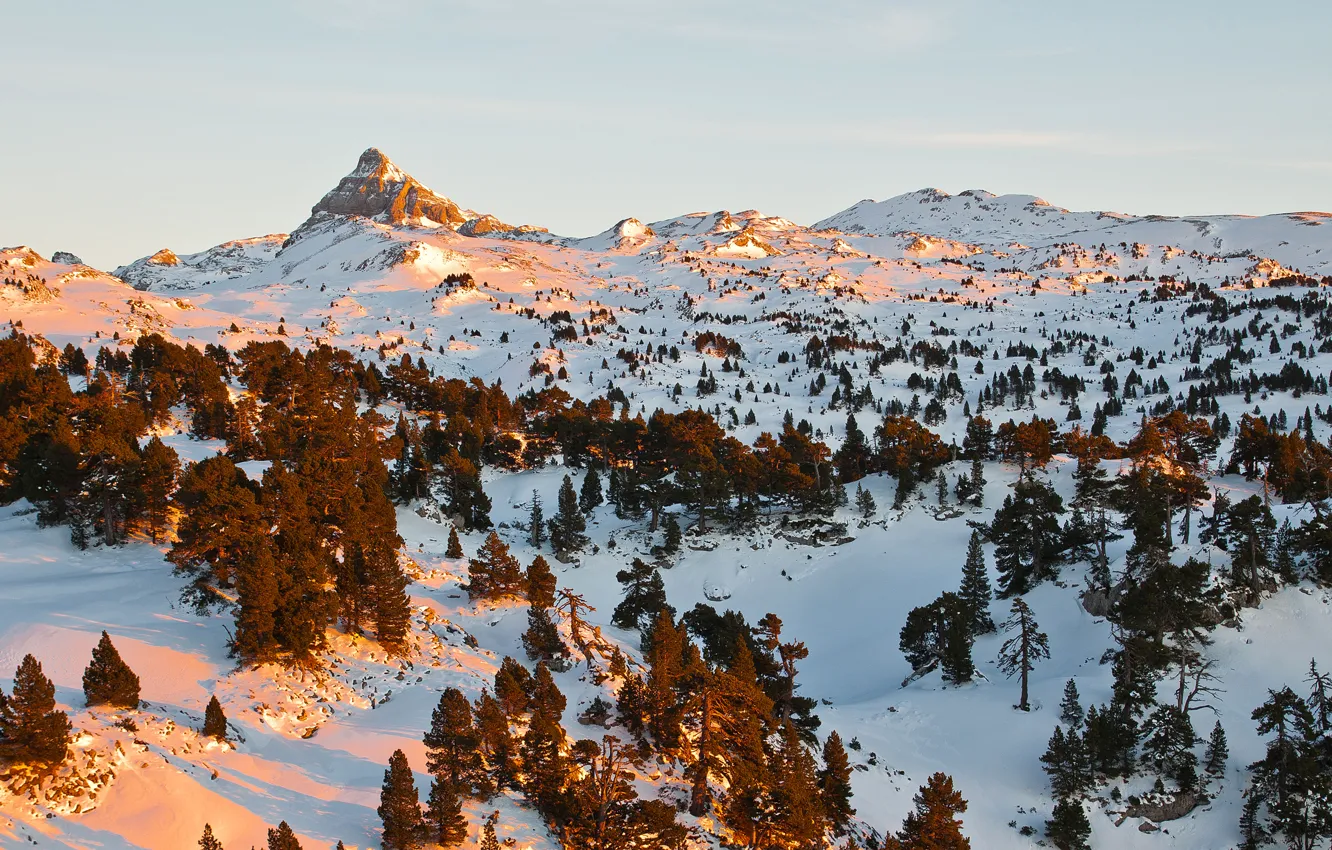 Photo wallpaper winter, the sky, snow, trees, mountains