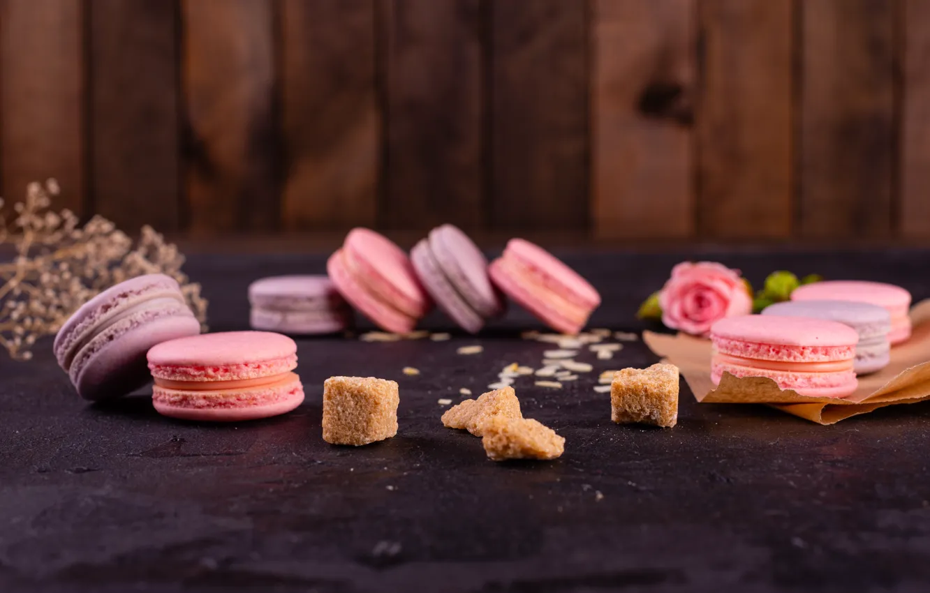 Photo wallpaper roses, petals, sugar, cookies, macaron